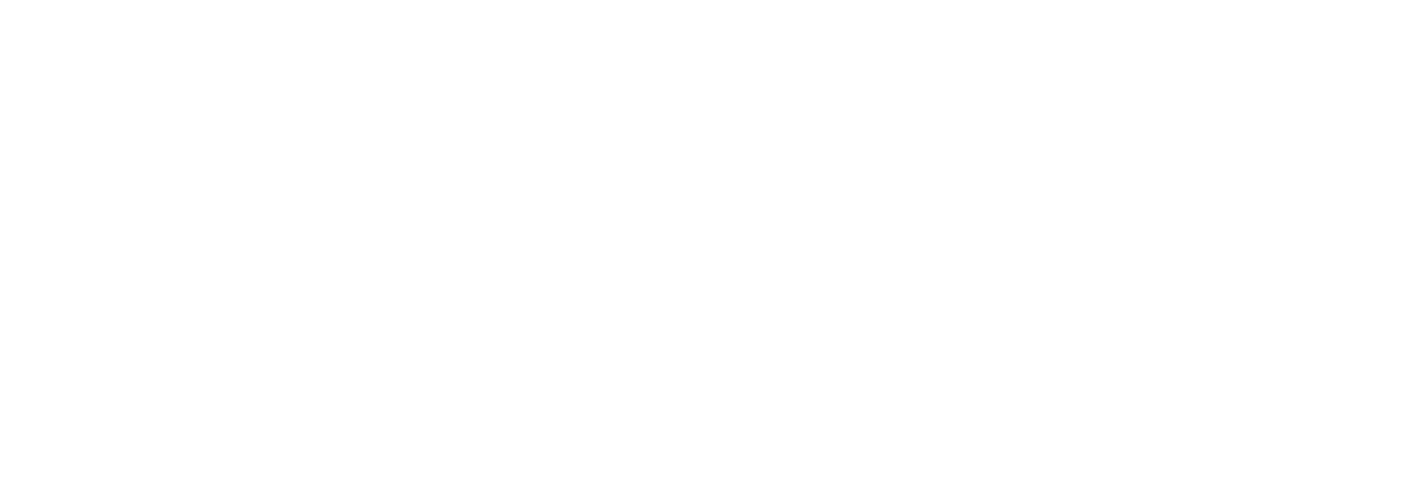 Vorhauer Chiptuning Attnang-Puchheim